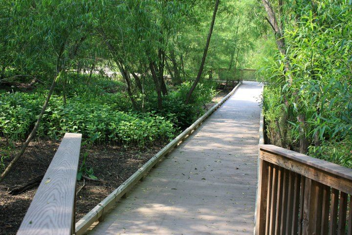 Reed Creek Martinez
